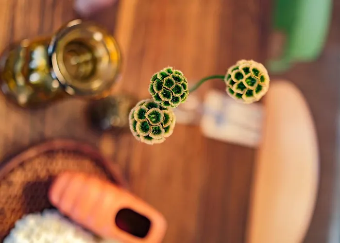 Ibis Styles Bordeaux 3* Bruges